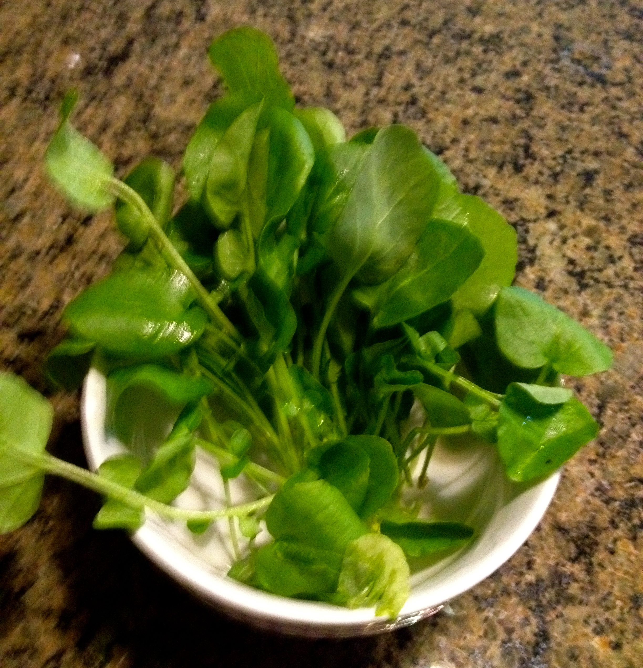 Greens 101: Wonderful Watercress