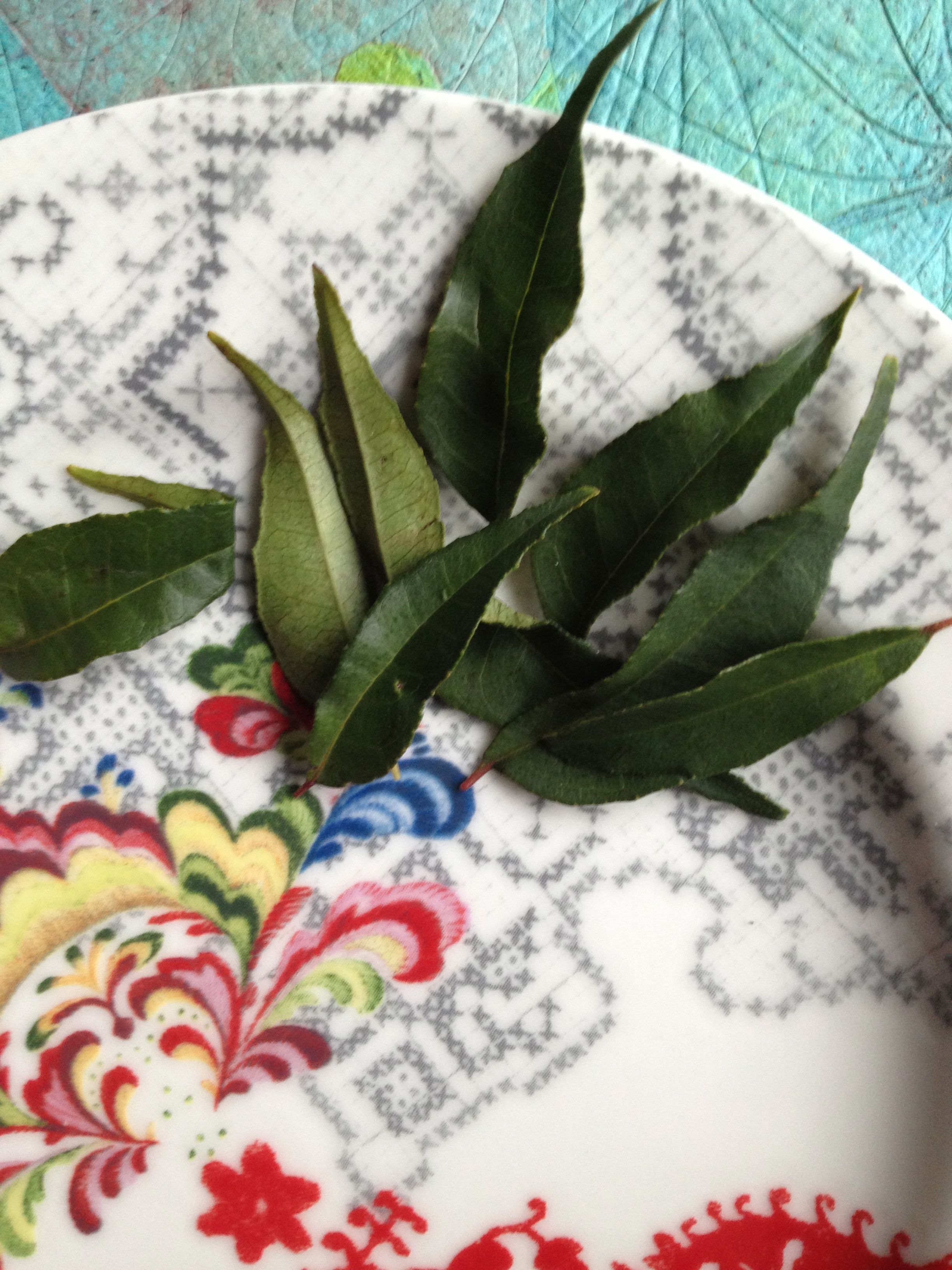 Greens 101: Charismatic Curry Leaves